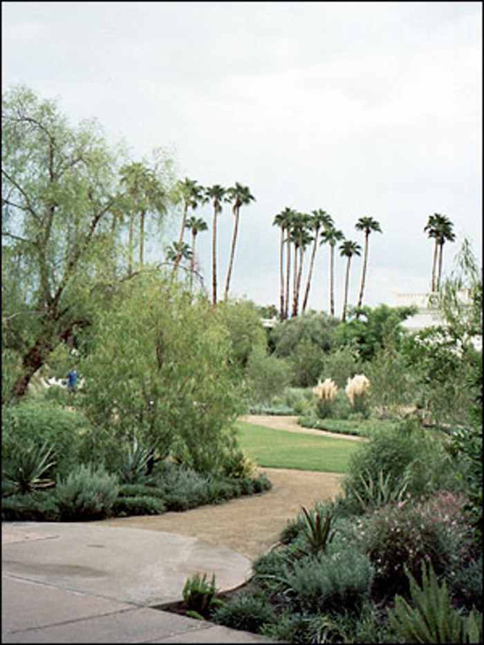 06_palmsprings_06.jpg